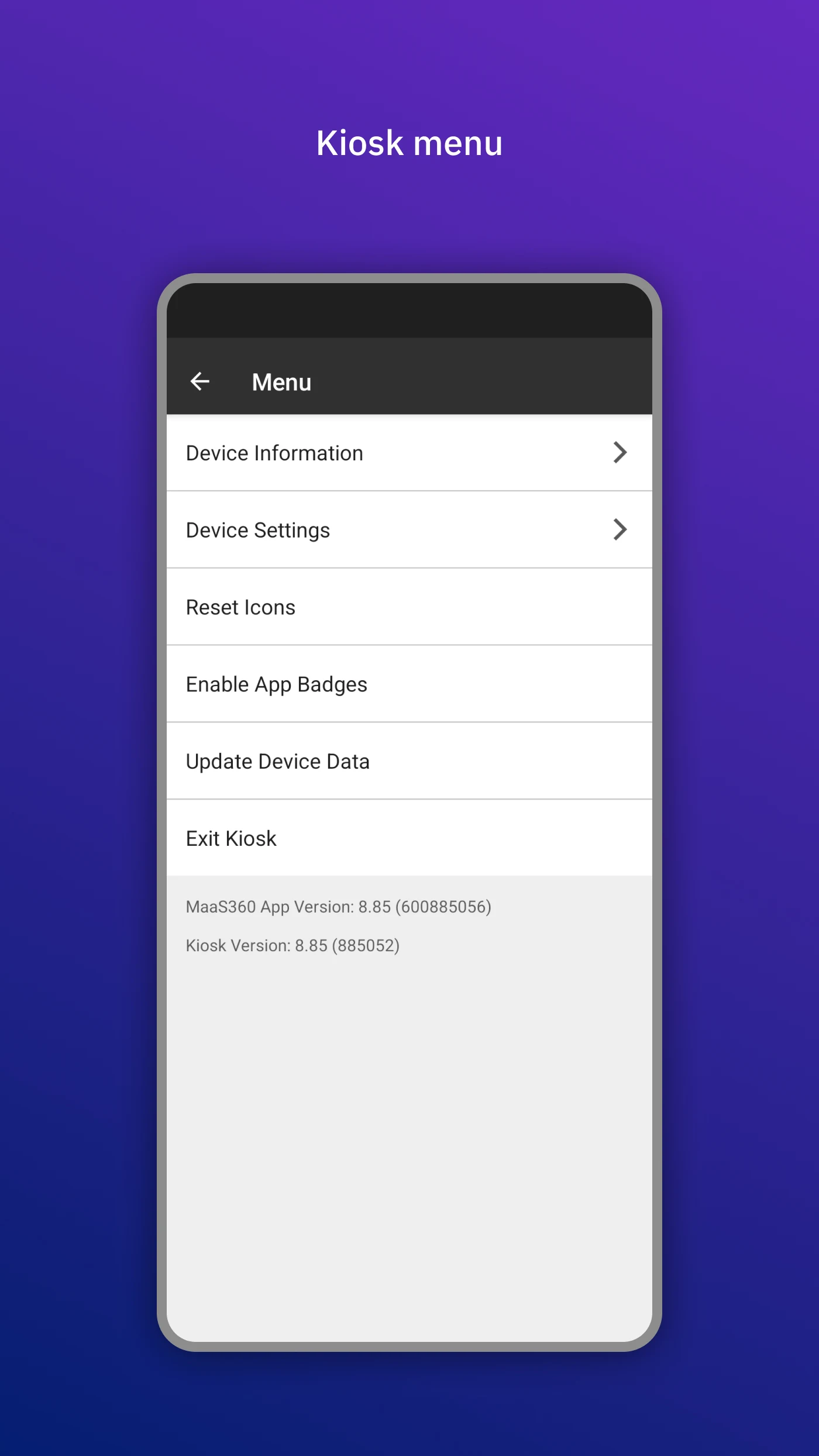 IBM MaaS360 Launcher (Beta) screenshot